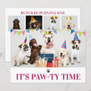 Search for paw ty invitations Pet