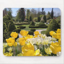 Search for exhibition photography French garden