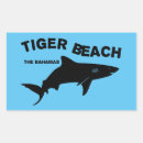 Search for tiger shark stickers Marine life