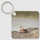 Search for ducks square key rings Mallard duck