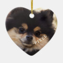 Search for rainbow bridge christmas tree decorations Pet photo