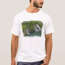 Search for waterfall tshirts National park