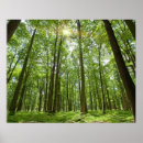 Search for back lit posters Travel destinations