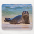 Search for baby seals electronics Christopher talbot frank