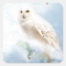 Search for graduation owl stickers Bird