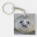 Search for pups key rings Animals