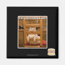Search for boring magnets I can has cheezburger