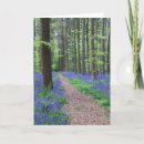 Search for bluebell cards Landscape