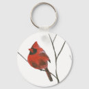 Search for cardinal key rings Songbird