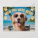 Search for were postcards Tropical