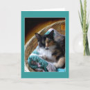 Search for cat basket cards Ginger