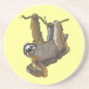 Search for sloth coasters Zoo