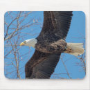 Search for national pride mousepads Independence