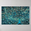 Search for blue peacock posters Beautiful
