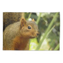 Search for squirrel pillowcases Animal