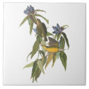 Search for audubon tiles Botanical