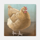 Search for buff magnets Chicken