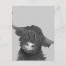 Search for kid white postcards Nature