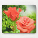 Search for red weddings mousepads Rose