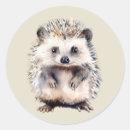 Search for porcupine stickers Wild