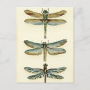 Search for collectable postcards Collection