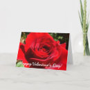 Search for bright red flower cards Nature