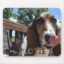 Search for big mousepads Dog