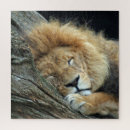 Search for lion puzzles Unique
