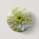 Search for chrysanthemum flowers badges Chrysanthemums