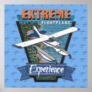 Search for extremity posters Flying