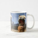 Search for haflinger horse mugs Pony