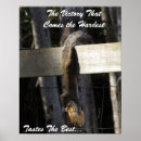 Search for tastes art Farm