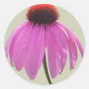 Search for coneflowers stickers Purple