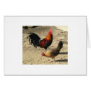 Search for gamebird Chicken
