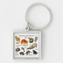 Search for kangaroos key rings Animals