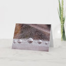 Search for yin yang cards Meditation