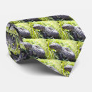 Search for lizards ties Wildlife