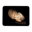 Search for judaism magnets Israel