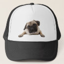 Search for pet pug hats Dog