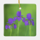 Search for iris christmas tree decorations Purple