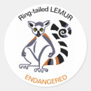 Search for lemur stickers Wildlife