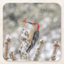 Search for birdwatcher barware Songbird