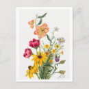 Search for flower illustrations postcards Botanical