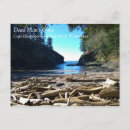 Search for dead postcards Beach