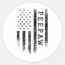 Search for freedom fighter stickers America land of dreams