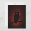 Search for mystery postcards Wildlife