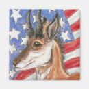 Search for antelope magnets Hunting