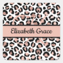 Search for leopard envelope seals Cheetah