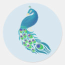 Search for peacock blue stickers Birds