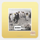 Search for hai stickers I can has cheezburger